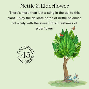 Nettle And Elderflower 12x250ml, 2 of 6
