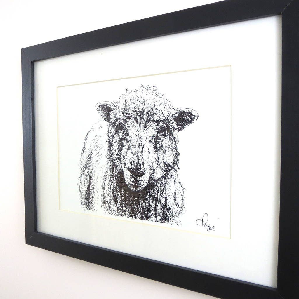 sheep pen and ink illustration framed print by jeeves & co. design ...