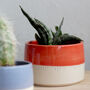'Happy Happy Happy' Ceramic Indoor Plant Pot, thumbnail 8 of 8