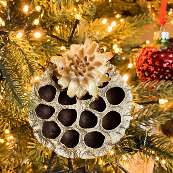 Three Dried Lotus Pendant Christmas Ornaments Gift Box, 4 of 4