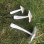 Set Of Three White Wooden Toadstools, thumbnail 7 of 7