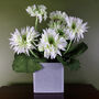 Artificial Potted Daisy Flowering Plant White, thumbnail 1 of 6