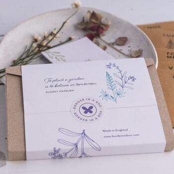 Cottage Garden Flower Seed Kit, 3 of 8
