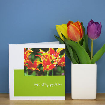 Personalised Tulip Flower Card, 5 of 8