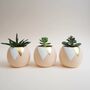 Gold Leaf Triangle Round Plant Pot, thumbnail 2 of 2