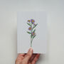 'Aster' Greetings Card, thumbnail 2 of 4