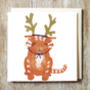 Christmas Cards Packs Cats In Hats Assortment Sets, thumbnail 9 of 12