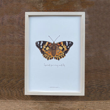 Painted Lady Illustrated Butterfly Print, 3 of 5