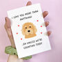 Personalised Funny Dog Anniversary Or Birthday Card, thumbnail 1 of 11