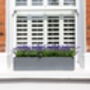 Lavender Fields Artificial Window Box In Large, thumbnail 1 of 2