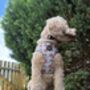 Little Pumpkin Bear Cub Dog Collar, thumbnail 8 of 8