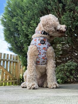 Little Pumpkin Bear Cub Dog Collar, 8 of 8