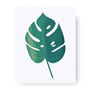 Monstera Leaf Giclée Art Print A4 / 10x8, thumbnail 2 of 2