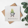 'Aloe Ways Be Here For You' Seed Paper Card, thumbnail 1 of 2