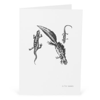 N Is For Newts Card, 2 of 2