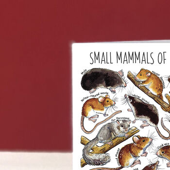 Small Mammals Of Britain Greeting Card, 4 of 7