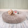 Anti Anxiety Donut Pet Bed, thumbnail 1 of 4