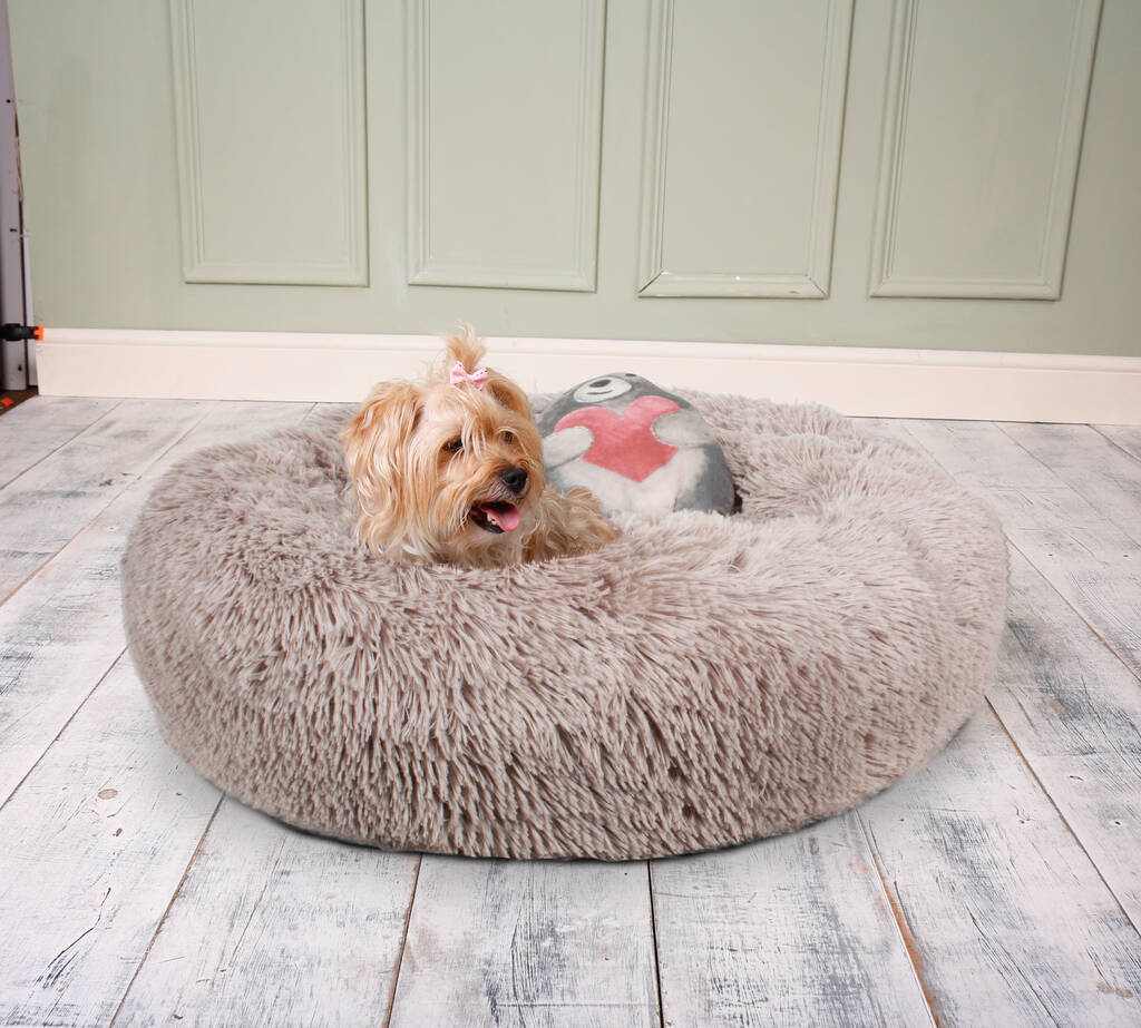 Anti Anxiety Donut Pet Bed, 1 of 4