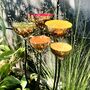 Set Of Five Copper Rain Catchers – Tangerine, Green, Red, Orange And Yellow Cups On Curved Iron Pole, thumbnail 1 of 6