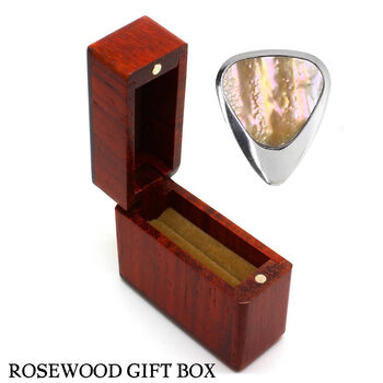 Titanium And Greenlip Abalone Guitar Pick + Gift Box, 2 of 8