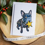 Star French Bulldog Christmas Card, thumbnail 1 of 7