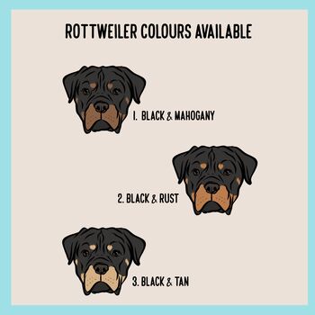 Rottweiler Sweatshirt, 5 of 5