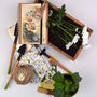 Grow Your Own Daisies Gardening Gift Set, thumbnail 3 of 5