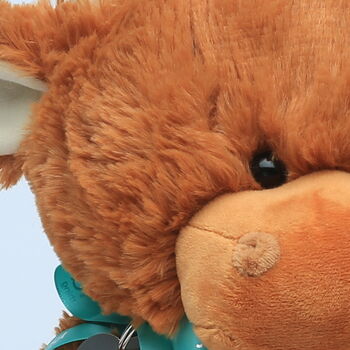 Mothers Day Moo Cow 20cm, Highland Cow, 6 of 6