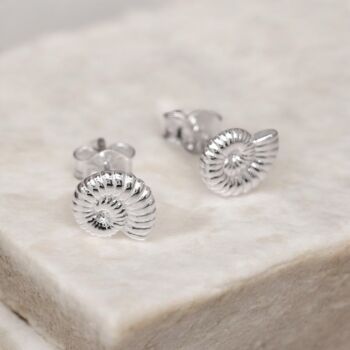 Sterling Silver Ammonite Shell Stud Earrings, 3 of 10