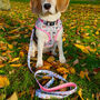 Pink Flowers Print Dog Lead, thumbnail 6 of 6