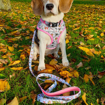 Pink Flowers Print Dog Lead, 6 of 6
