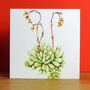 Echeveria Greetings Card, thumbnail 4 of 5