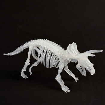 Glow In The Dark Dinosaur Skeleton Kit, 9 of 9