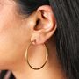Stainless Steel Hoop Earrings, thumbnail 7 of 12