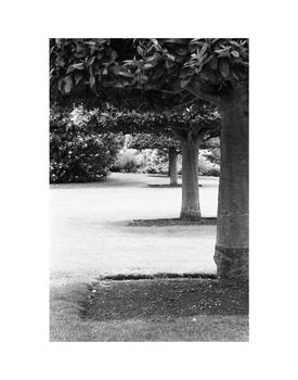 Anglesey Abbey, Cambridgeshire, Art Print, 5 of 7