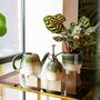Ombre Glaze Green Indoor Watering Can, thumbnail 4 of 5