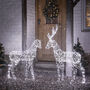 Duchy Stag And Doe Dual Colour Micro LED Reindeer, thumbnail 4 of 4