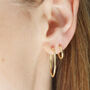 Everyday 14ct Gold Hoop Earrings, thumbnail 11 of 12