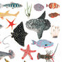 Sea Life Print, thumbnail 5 of 5