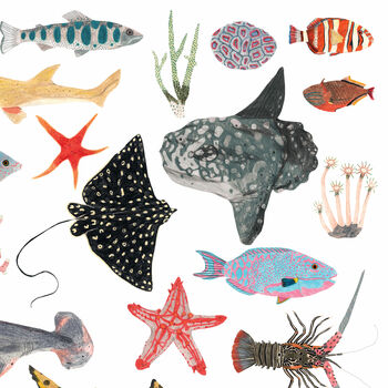 Sea Life Print, 5 of 5