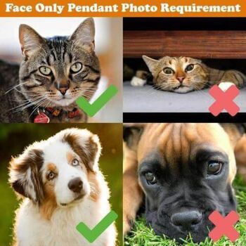 Customised Pet Photo Necklace, 3 of 3