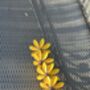 Set Of Five Rudbeckia Flower Sculptures, thumbnail 7 of 7