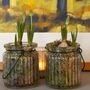 Ribbed Glass Jar With Spring Bulbs Muscari, Set Of Two, thumbnail 3 of 7