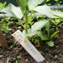 Floral Herb And Vegetable Markers, thumbnail 1 of 8