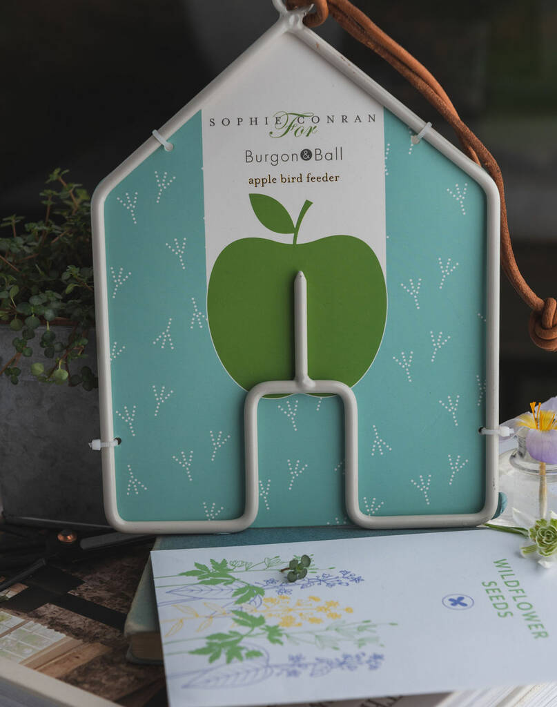 House Shaped Bird Feeder Wildflower Seeds By Border in a Box