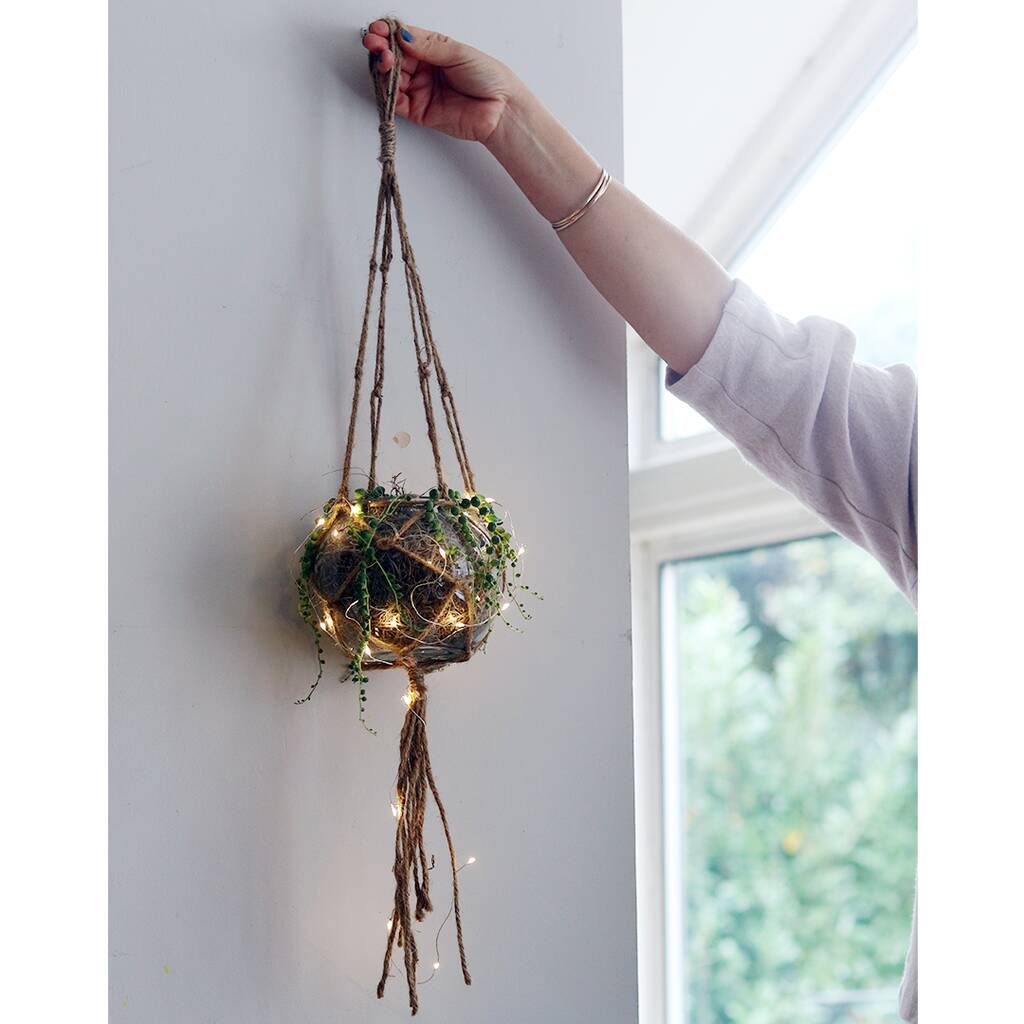 Image of Christmas Hanging Plant Bauble