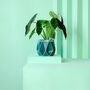 Two Origami Self Watering Eco Plant Pots, thumbnail 4 of 12