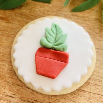 House Plant Biscuit Letterbox Gift Set, 8 of 8