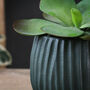 Green Ceramic Planter, thumbnail 3 of 3