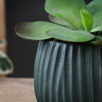 Green Ceramic Planter, 3 of 3